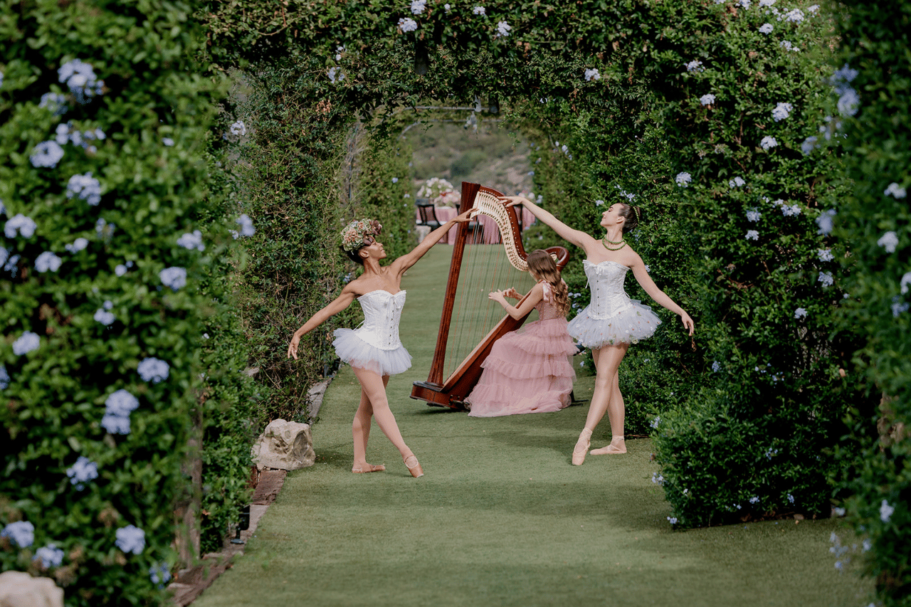 Ginger Rose Harpist portfolio 2