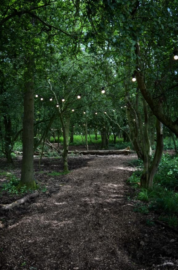 Rydals Meadow portfolio 1