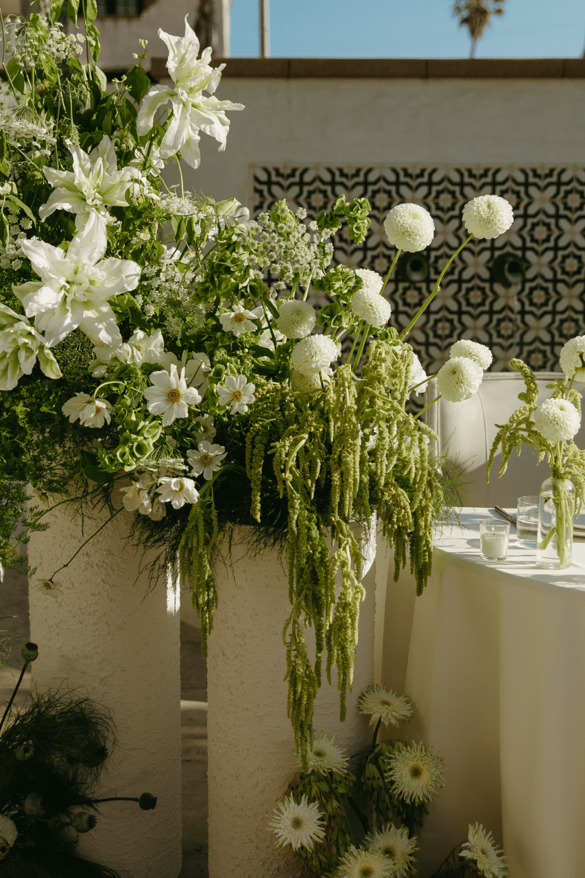 A Refined Celebration Beneath the Sun at Agape 1928