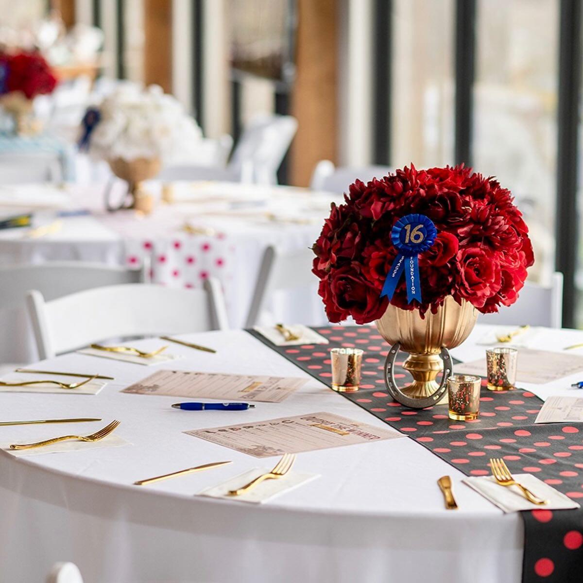 Branson Party Rentals portfolio 1