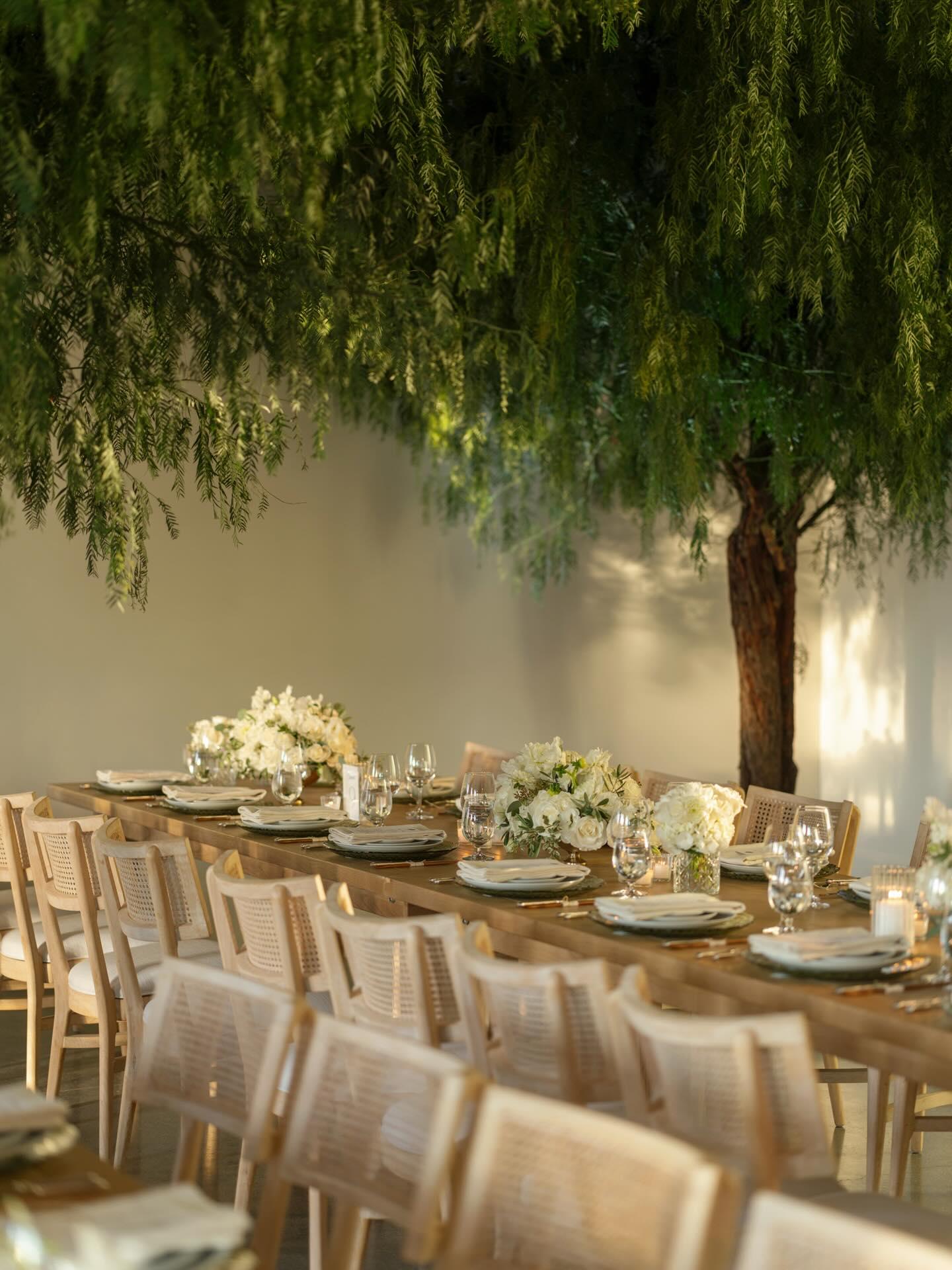 COJ Events portfolio 4