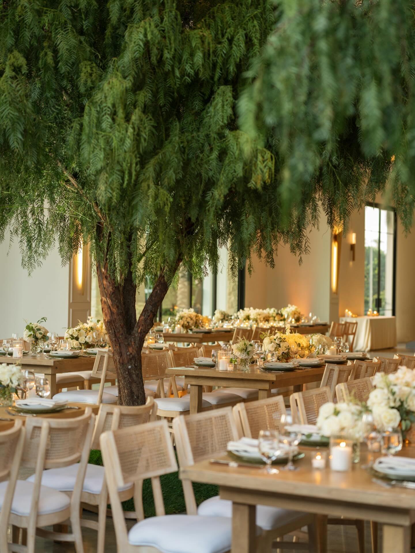 COJ Events portfolio 1