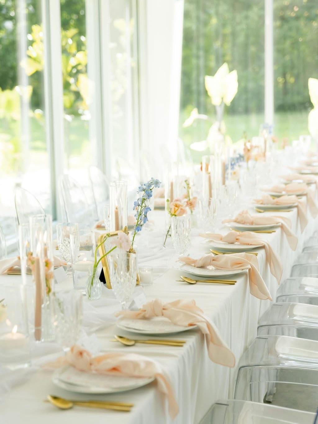 Branson Party Rentals portfolio 4