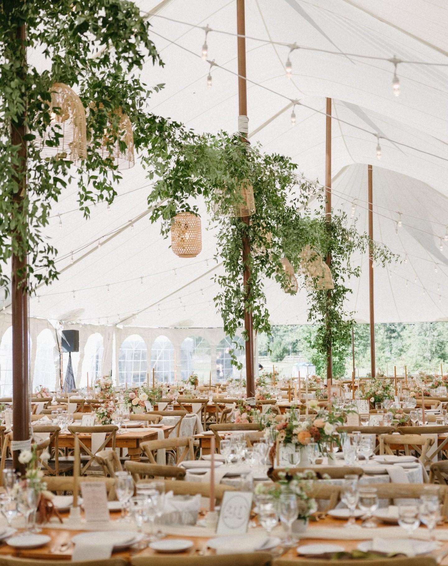 TC Tented Events
