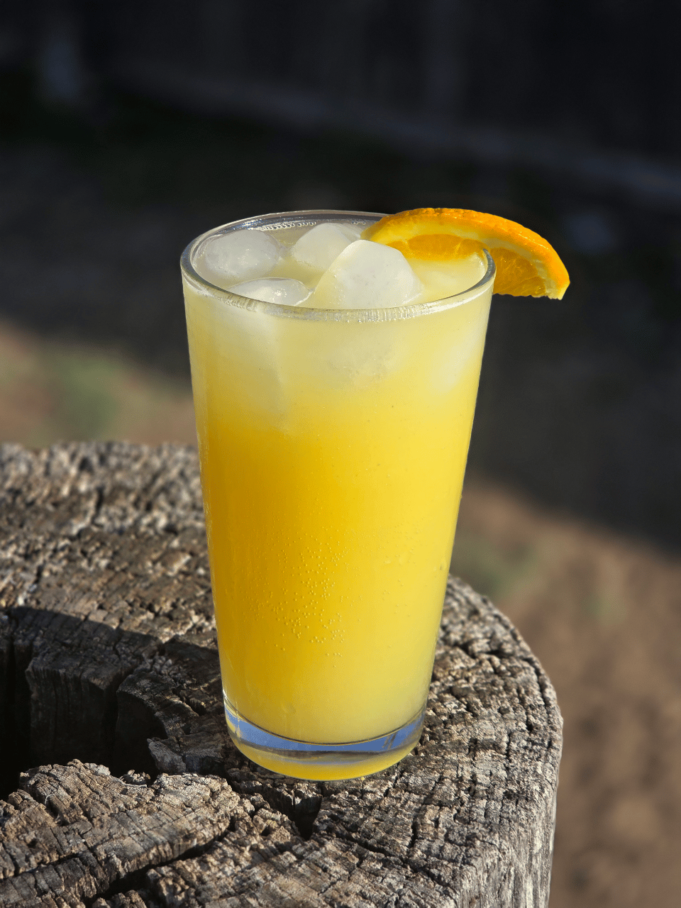 Dyar Situations Bartending portfolio 4