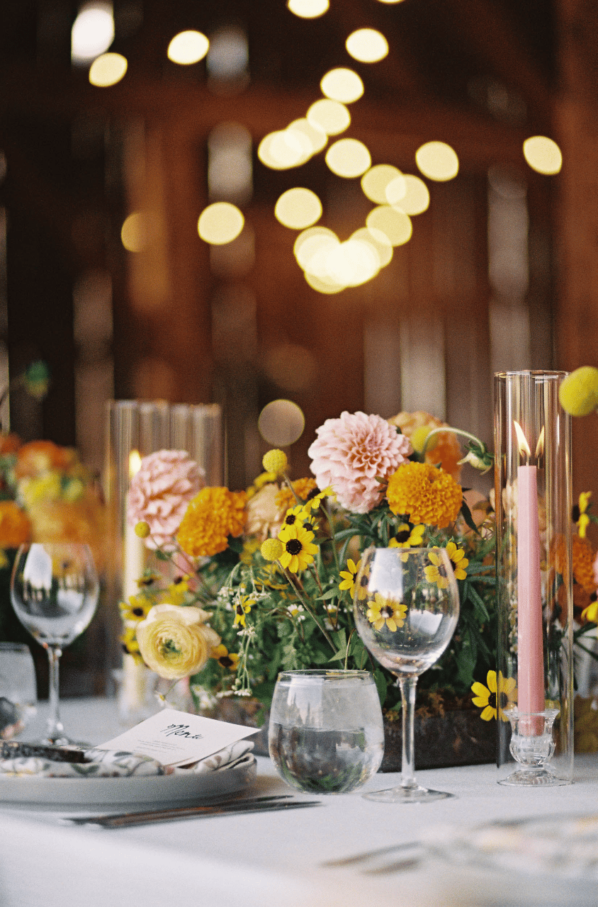 Tess Hubbeling & Will Saake's wedding-image-96