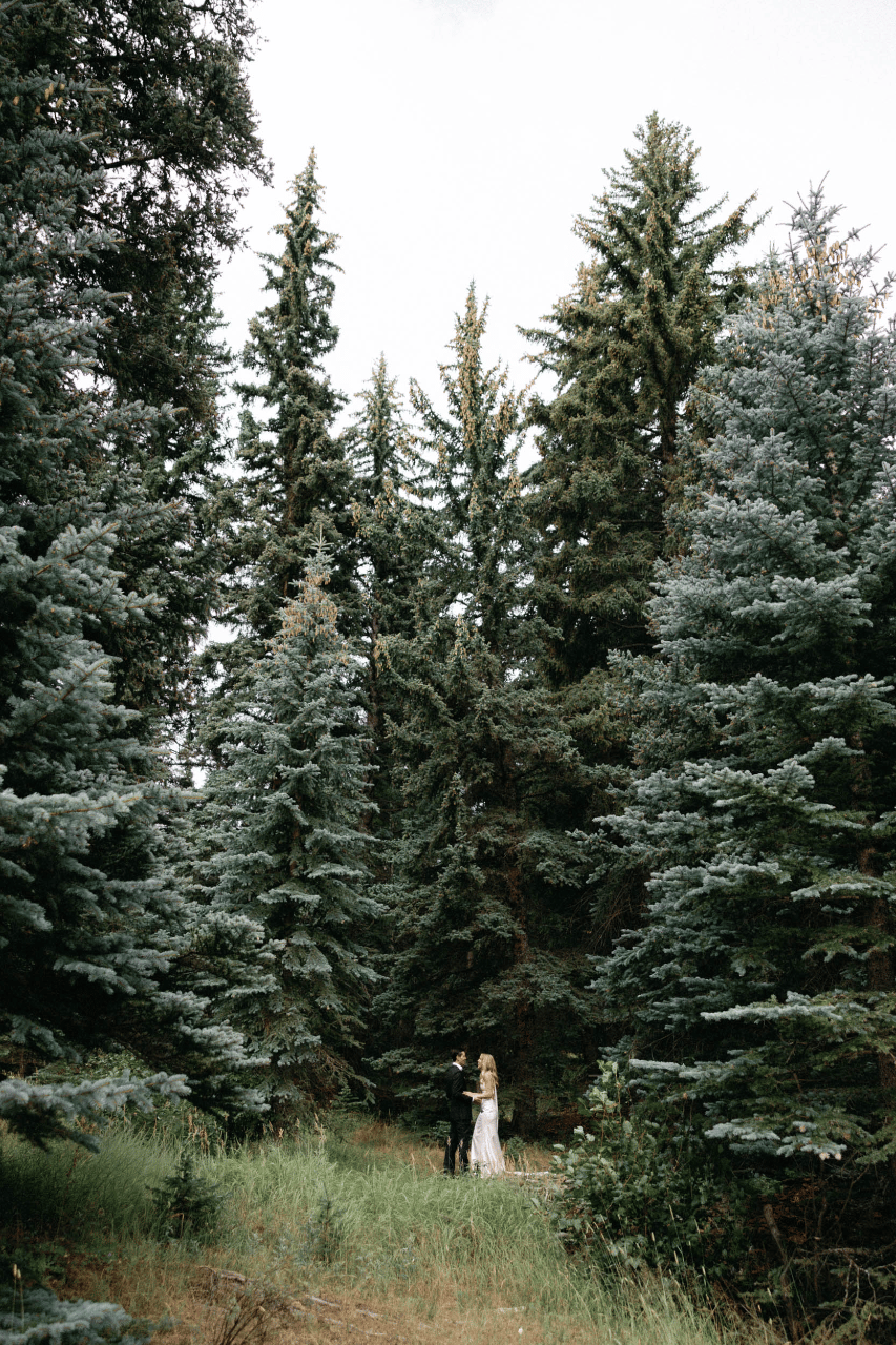 Tess Hubbeling & Will Saake's wedding-image-16
