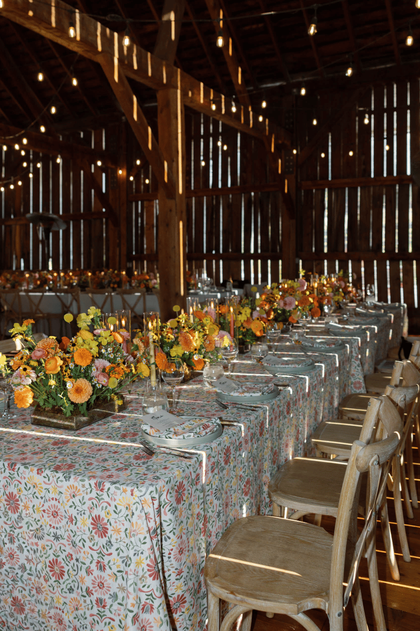 Tess Hubbeling & Will Saake's wedding-image-100