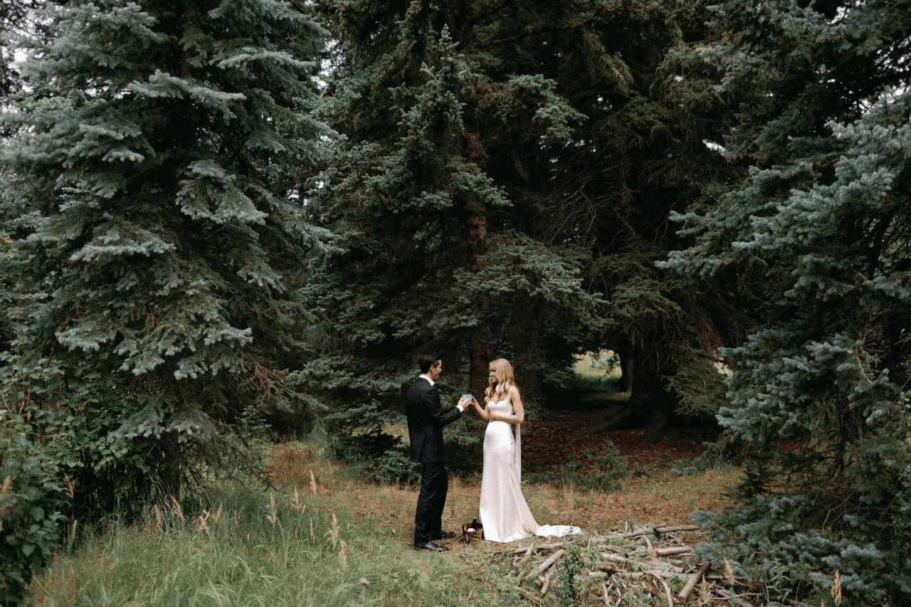 Tess Hubbeling & Will Saake's wedding-image-17