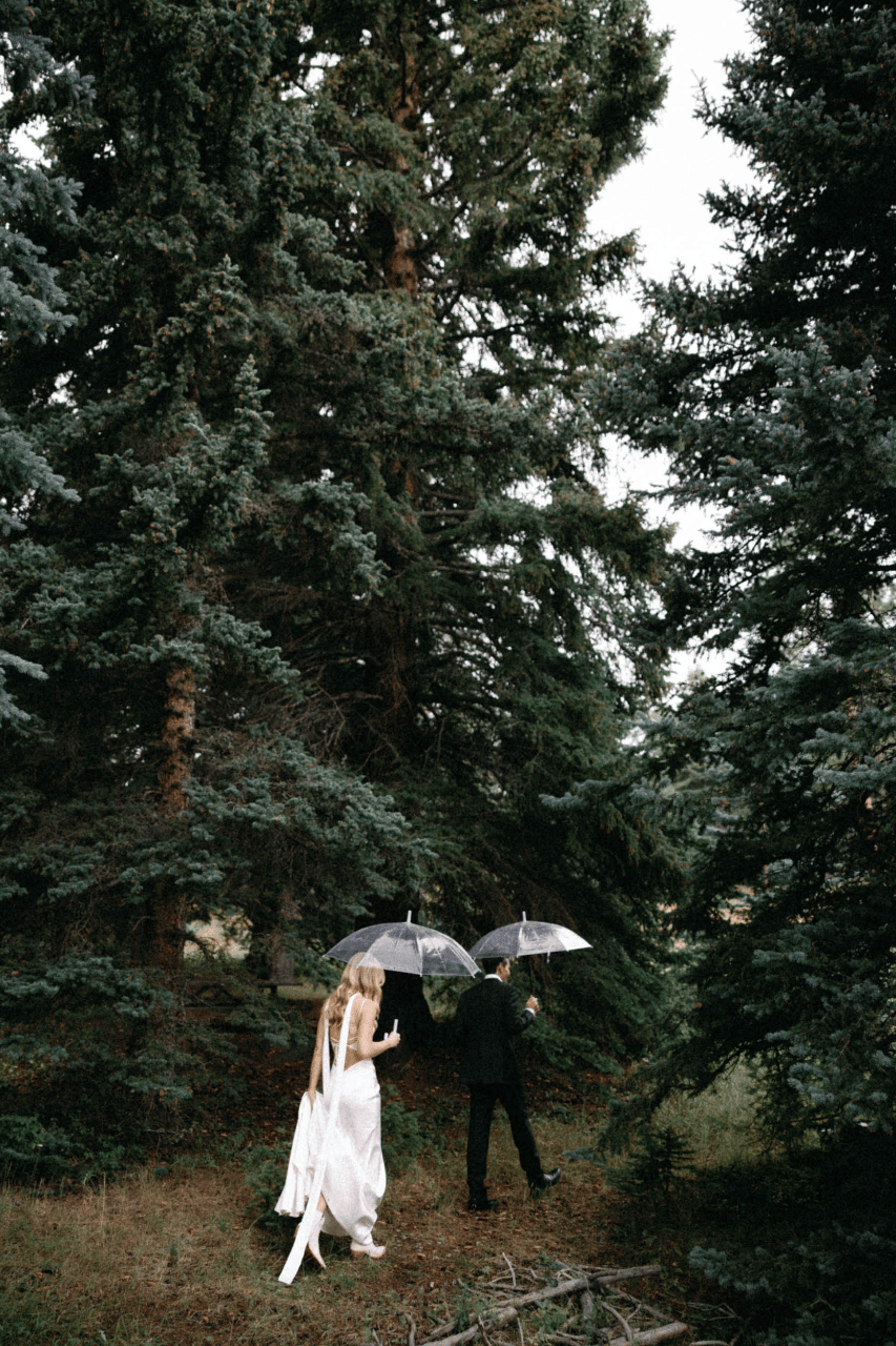 Tess Hubbeling & Will Saake's wedding-image-23