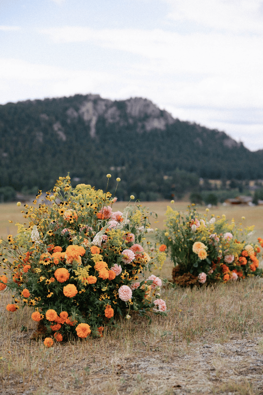 Tess Hubbeling & Will Saake's wedding-image-34