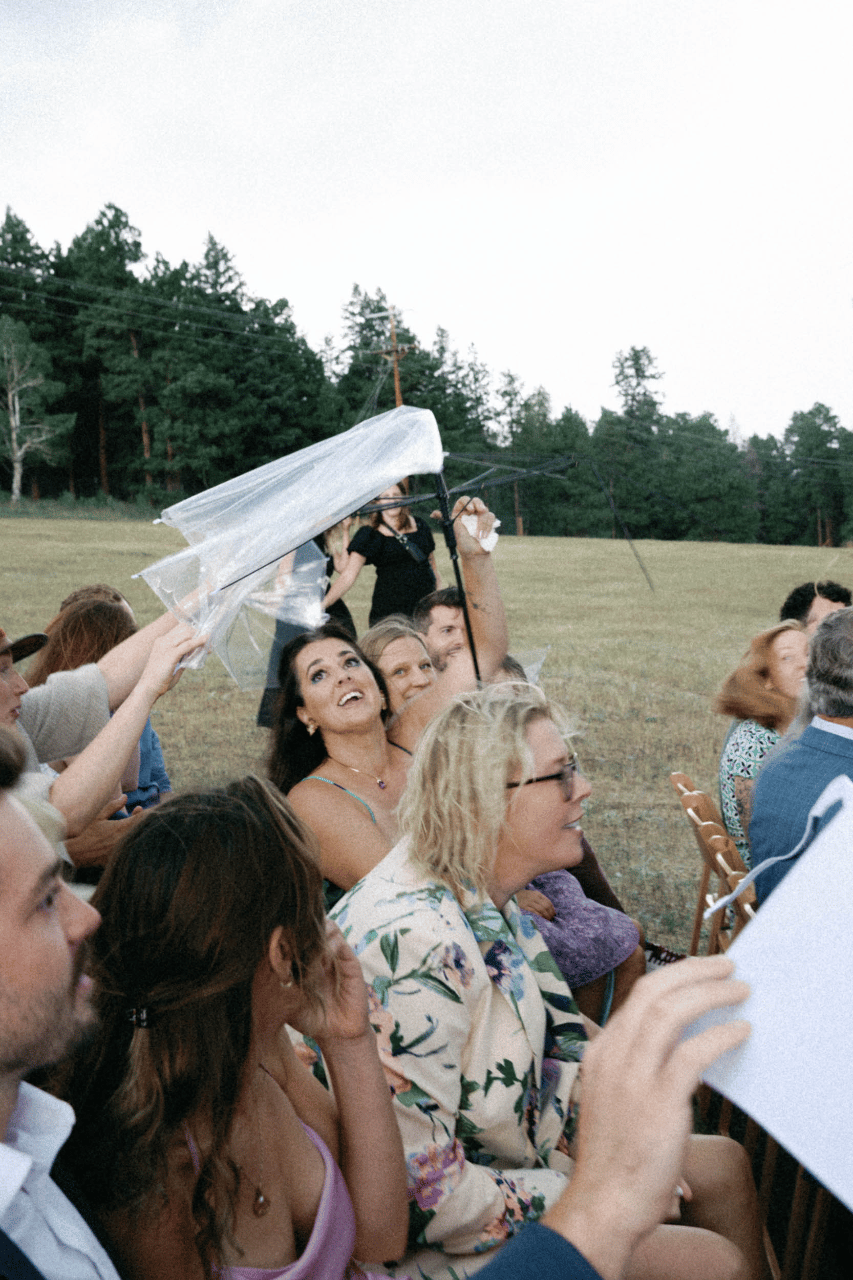 Tess Hubbeling & Will Saake's wedding-image-41