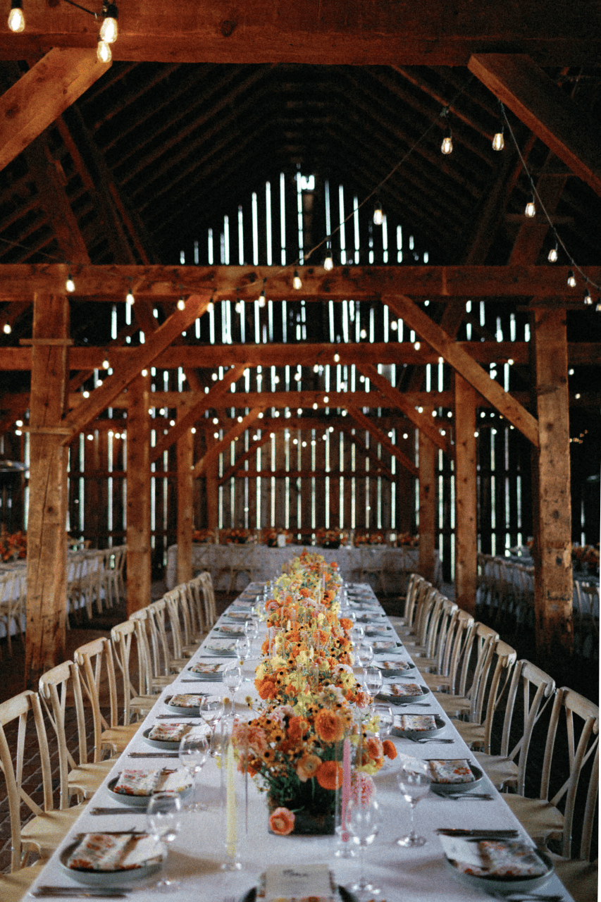 Tess Hubbeling & Will Saake's wedding-image-92