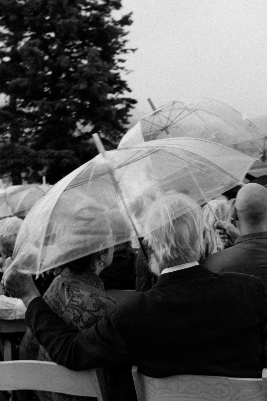 Tess Hubbeling & Will Saake's wedding-image-42