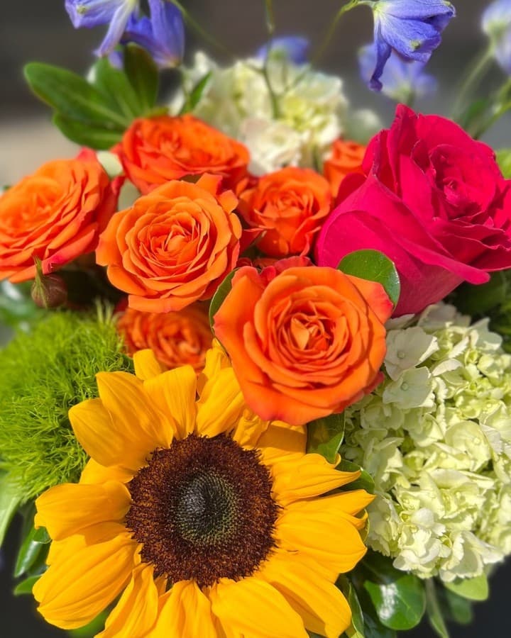 Wisteria Lane Florist & Gifts portfolio 4