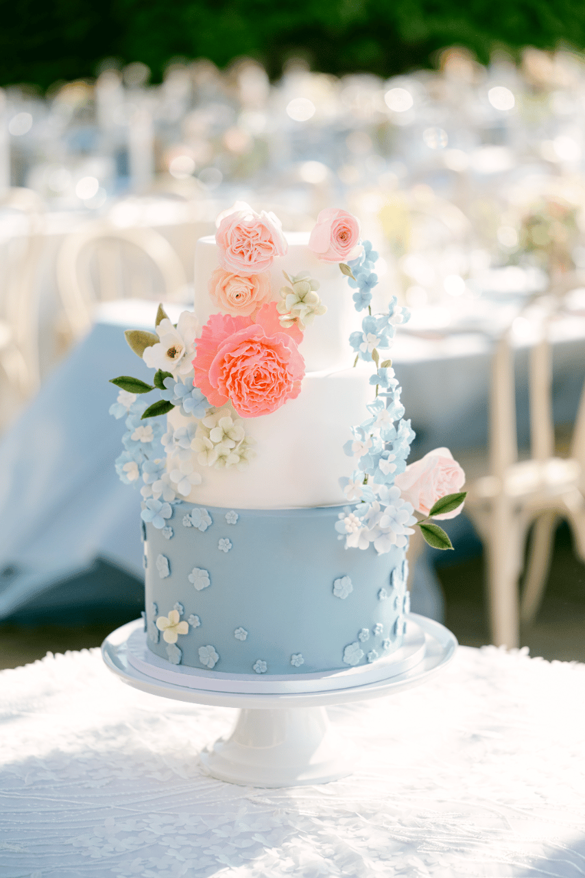 Palette Cakes portfolio 5