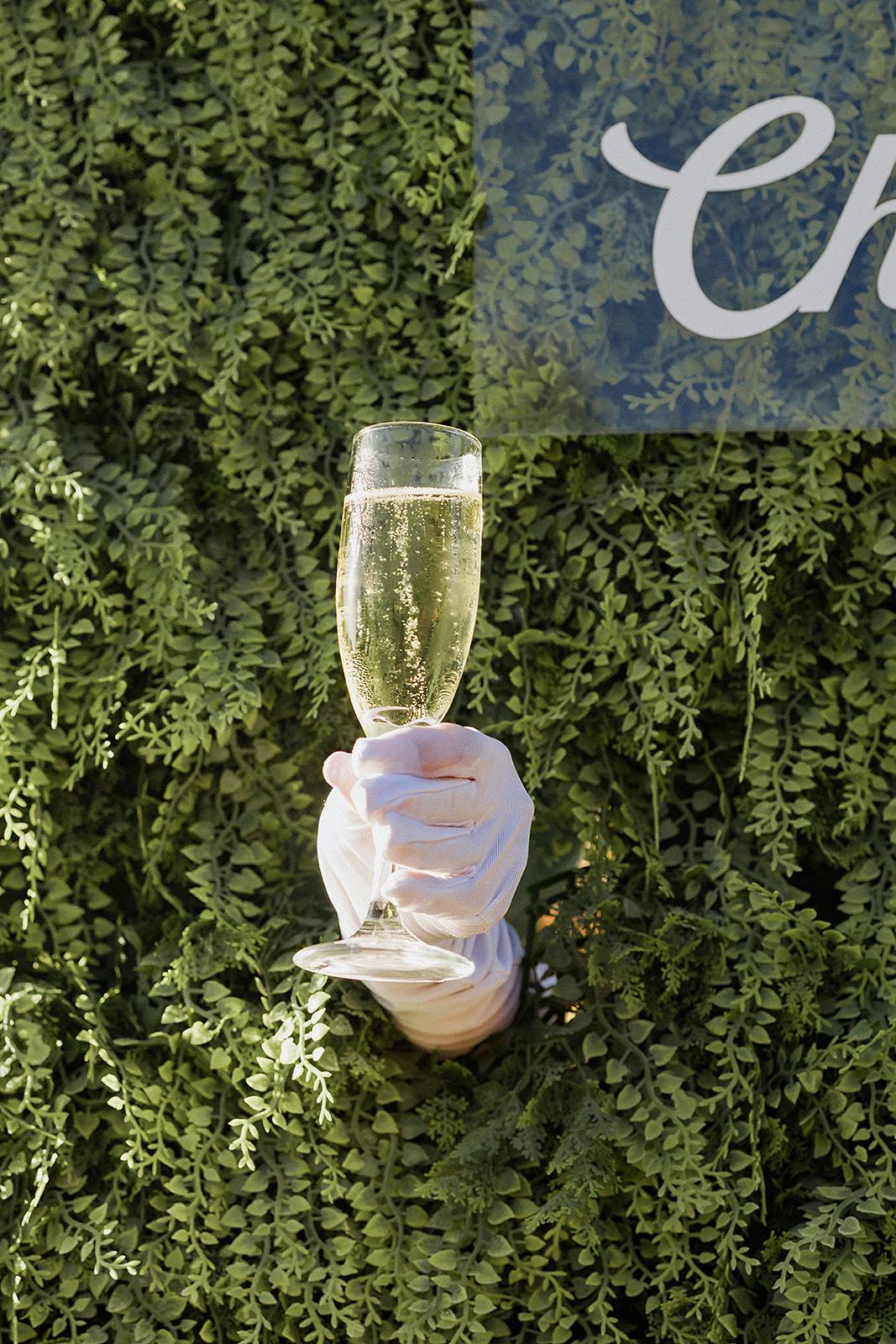 A Romantic Fall Wedding at Newport Beach Vineyards & Winery 28