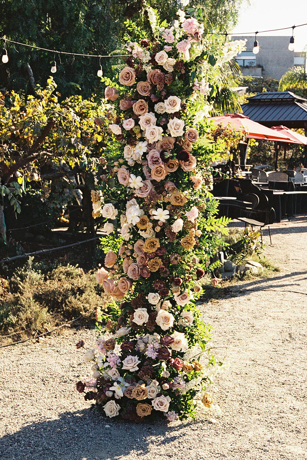 A Romantic Fall Wedding at Newport Beach Vineyards & Winery 72