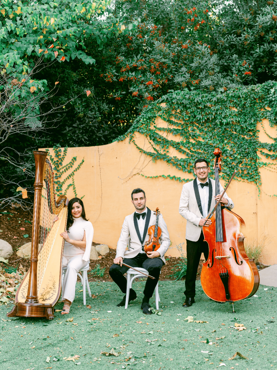 Enchanted Strings by Ashot Dumanyan - Solo Violinist & Ensembles