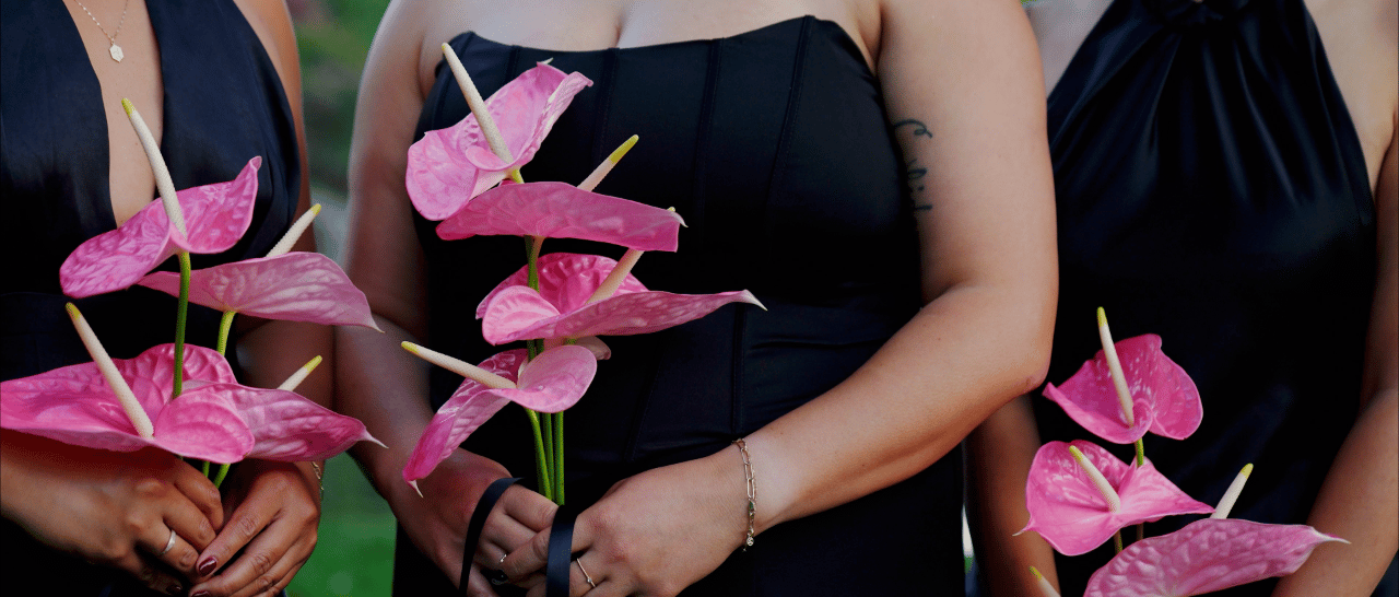 Erin Moynihan Films portfolio 1