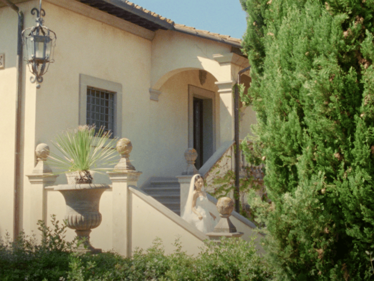 American Rose Films portfolio 4