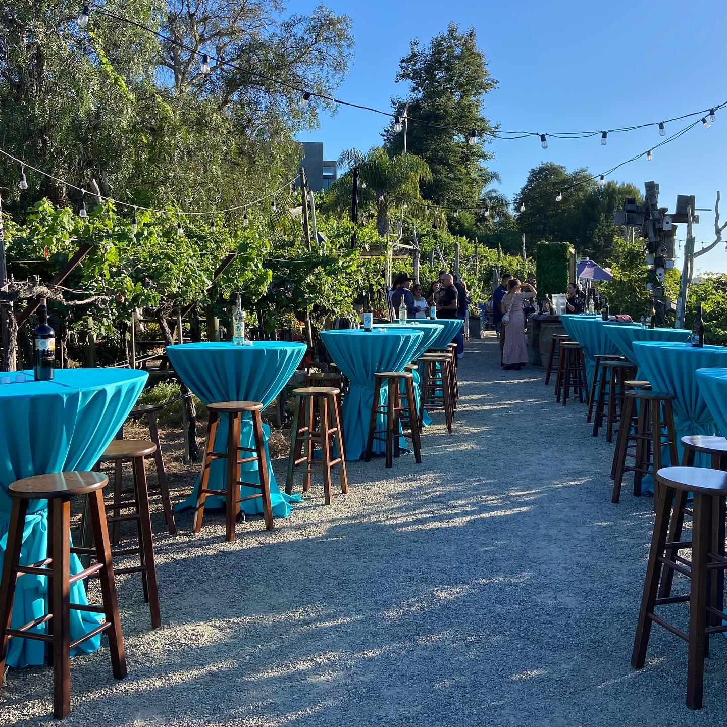 Newport Beach Vineyards & Winery portfolio 2