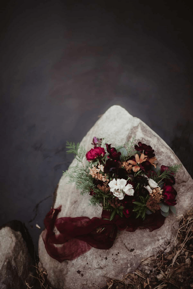 Twig & Olive Photography portfolio 5