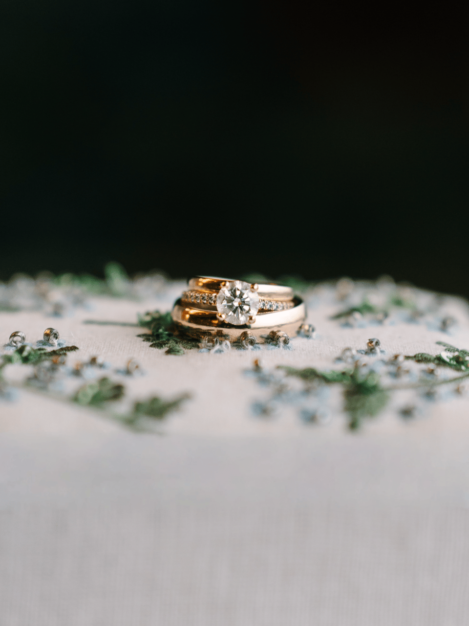 Ellie Tschetter & Robert Lee's wedding-image-2