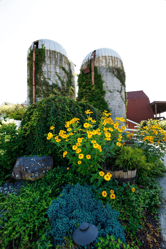 The Barn at Glistening Pond portfolio 2