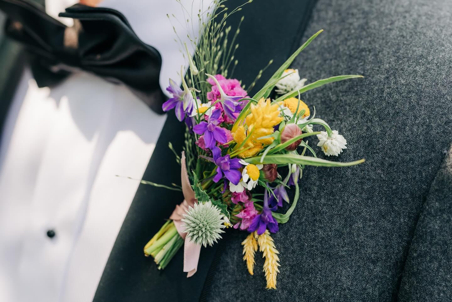 Clayton Floral portfolio 4