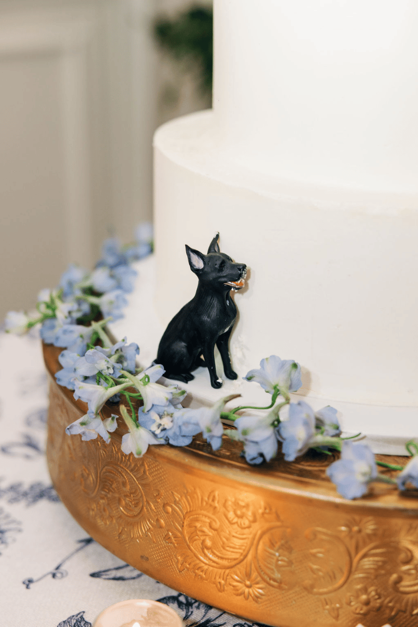 Morgan Sugdinis & Dalton Davis's wedding-image-21