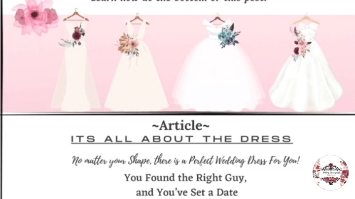 Wedding Extravaganza Magazine, LLC portfolio 2