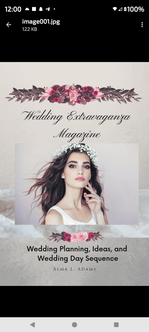 Wedding Extravaganza Magazine, LLC portfolio 1
