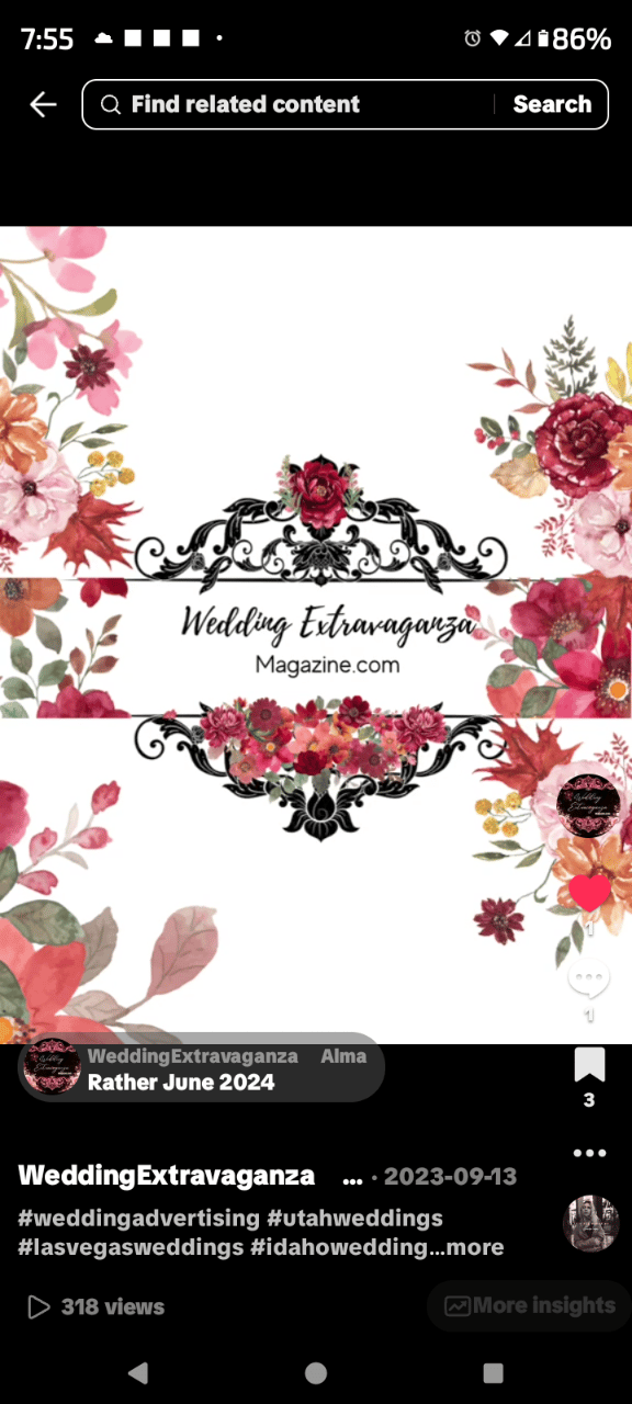 Wedding Extravaganza Magazine, LLC portfolio 3
