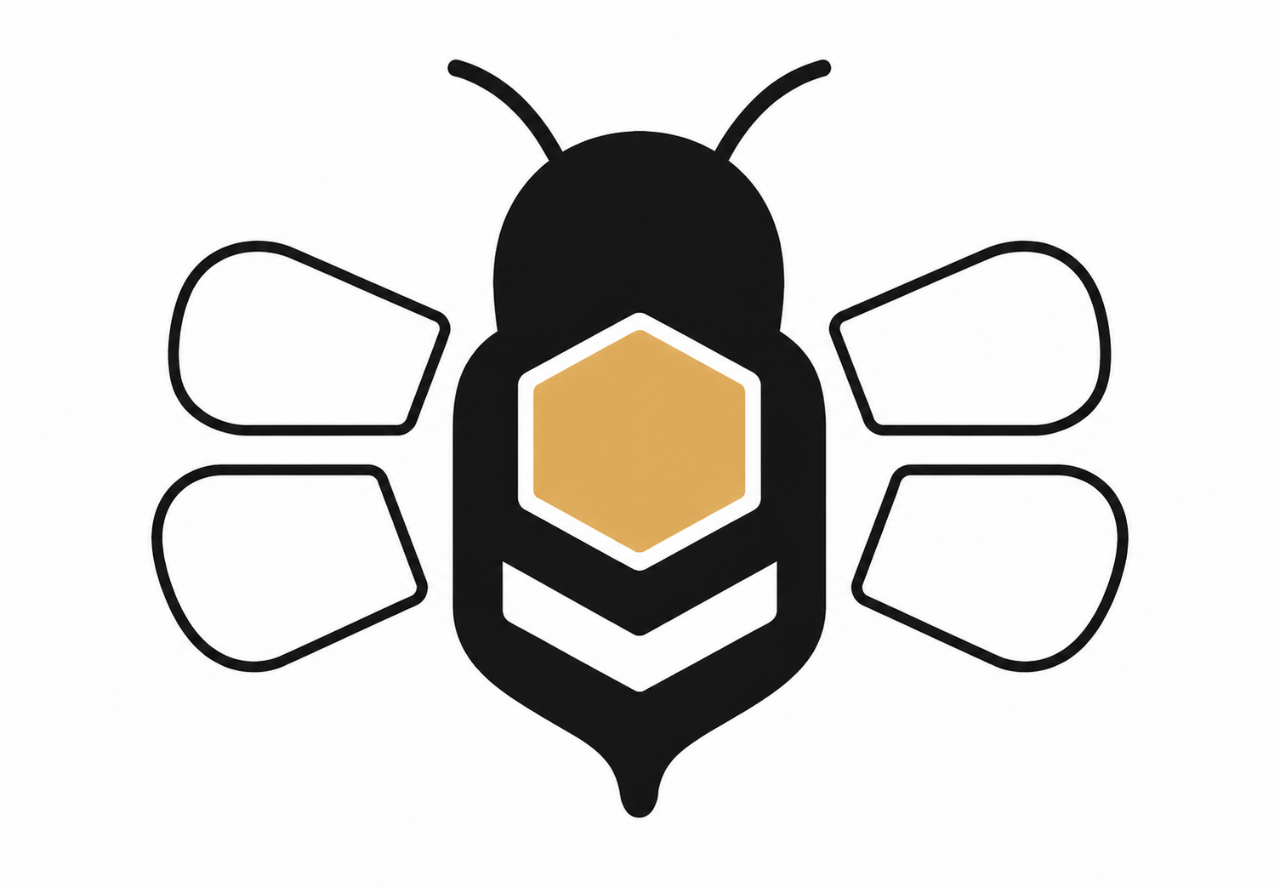 Seatbee portfolio 1
