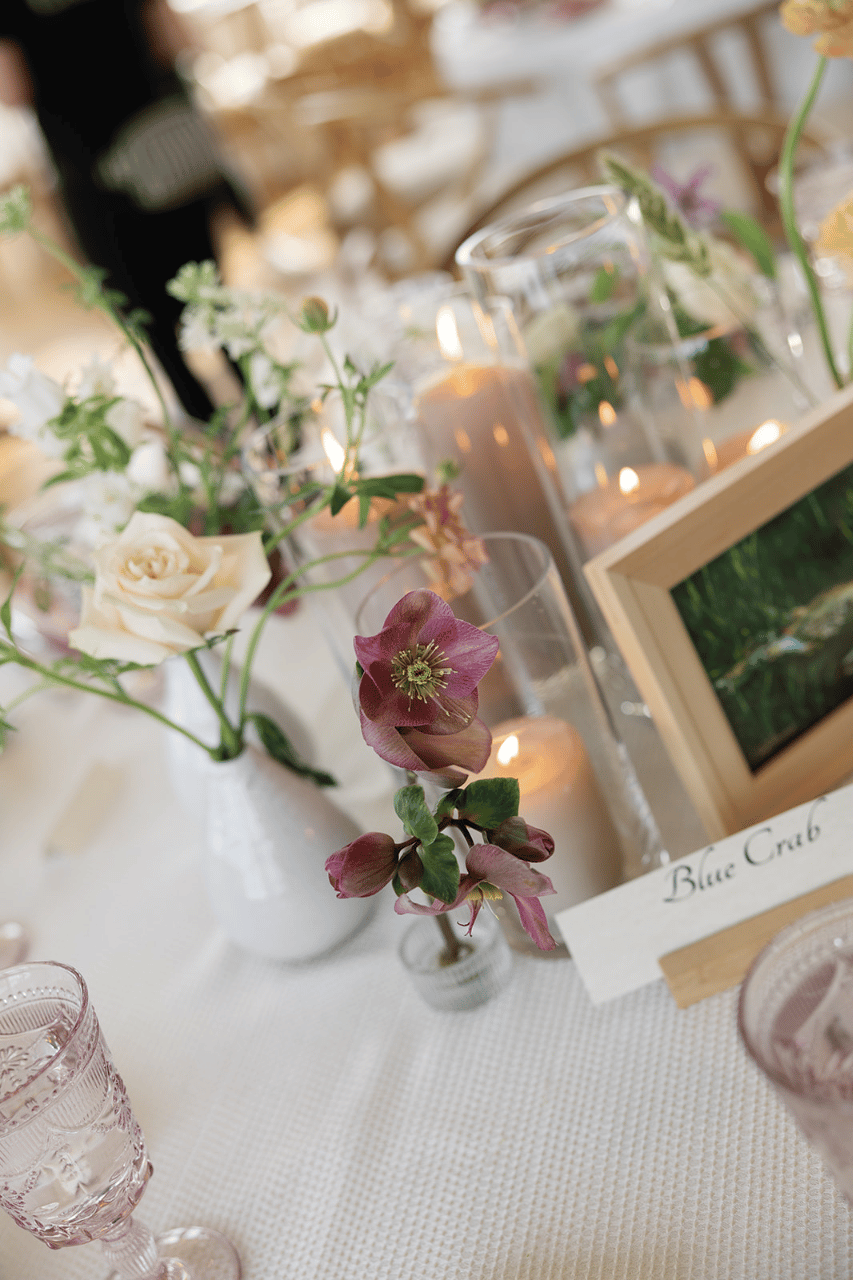 Becca Hammersla & Mike Kelly's wedding-image-53