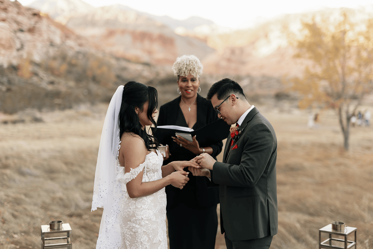 Timeless Connection - Las Vegas Wedding Officiants portfolio 3