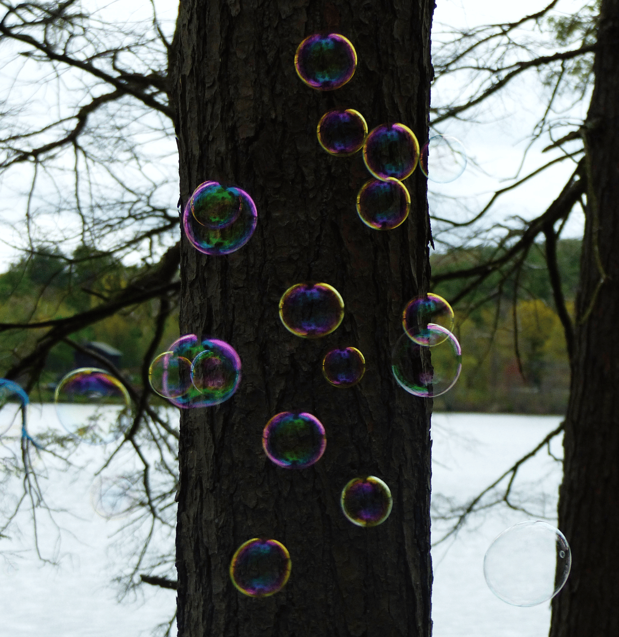 Onyx's Photography portfolio 3