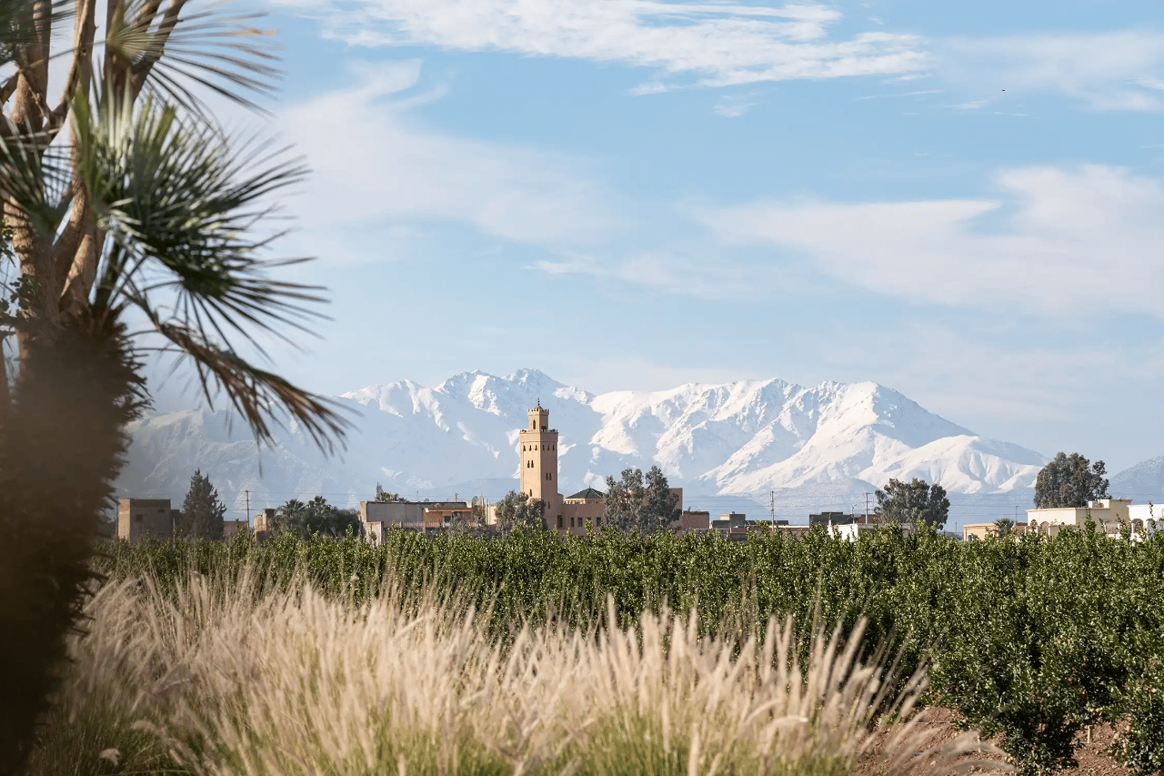 Villa MontBel  |  Marrakech, Morocco portfolio 4
