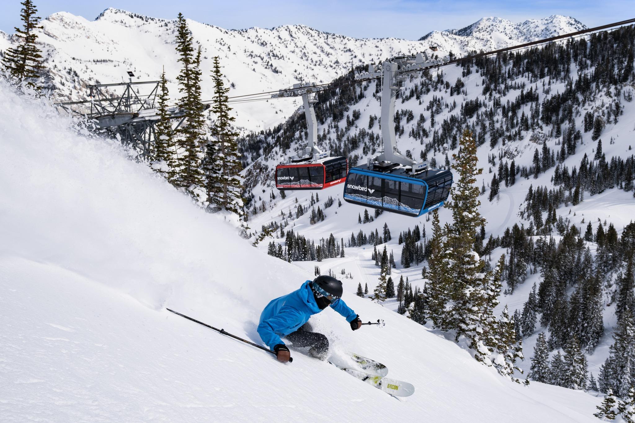 Snowbird Resort