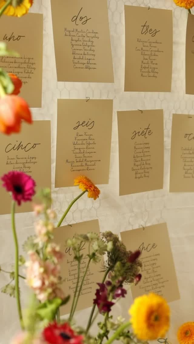 Vino And Type portfolio 1