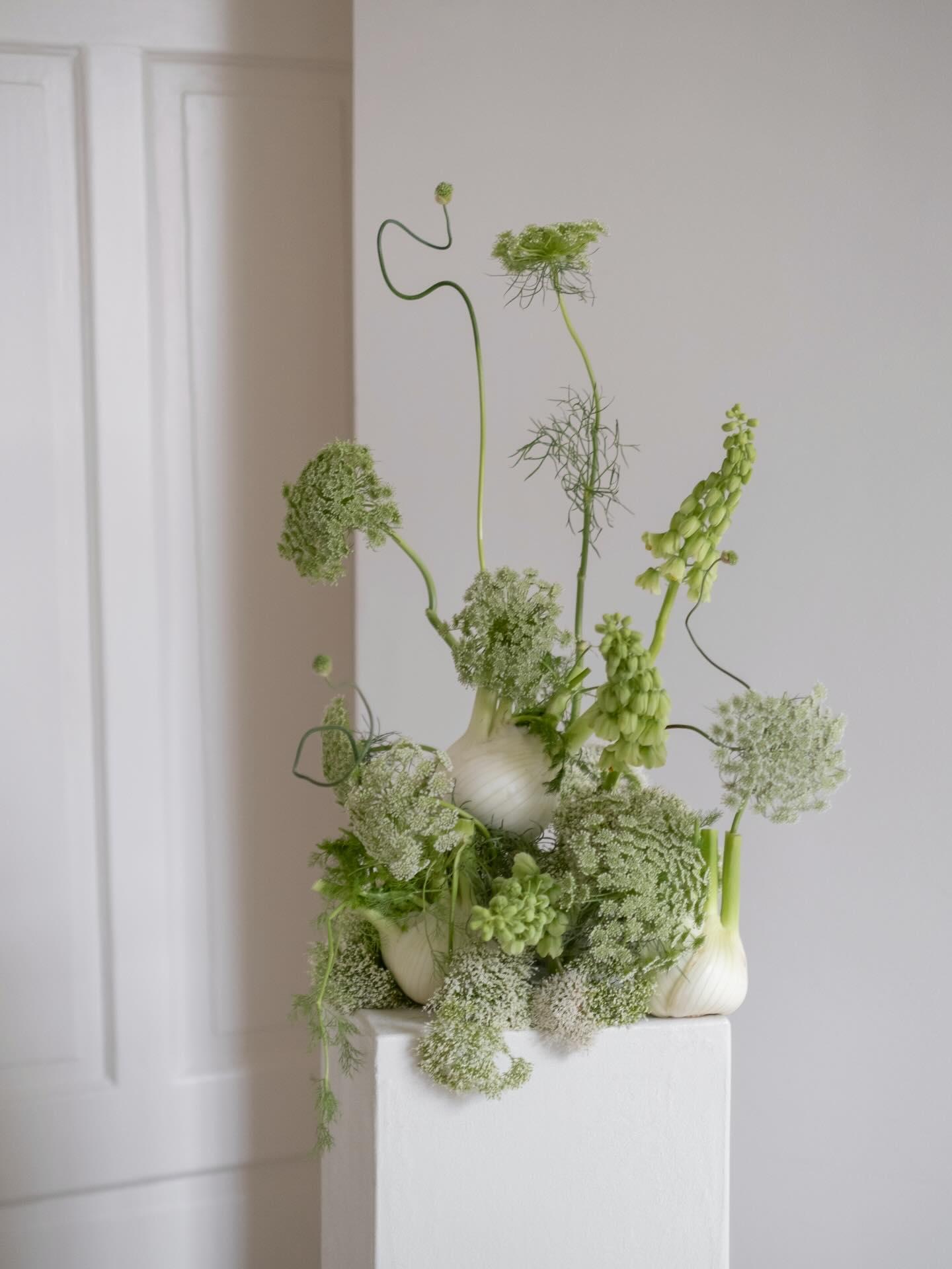 Leone Floral Studio portfolio 4