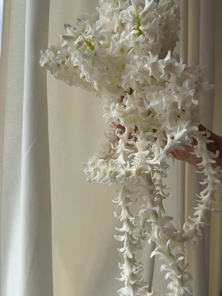 Edénique Floral Design portfolio 5