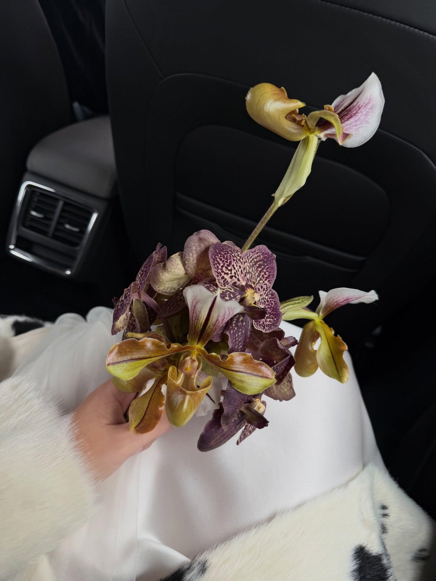 Lovers Studio portfolio 2