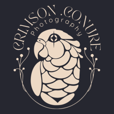 Crimson Conure Photography