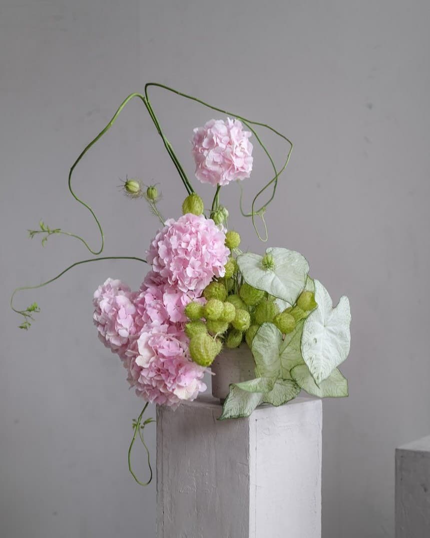 Leone Floral Studio portfolio 3