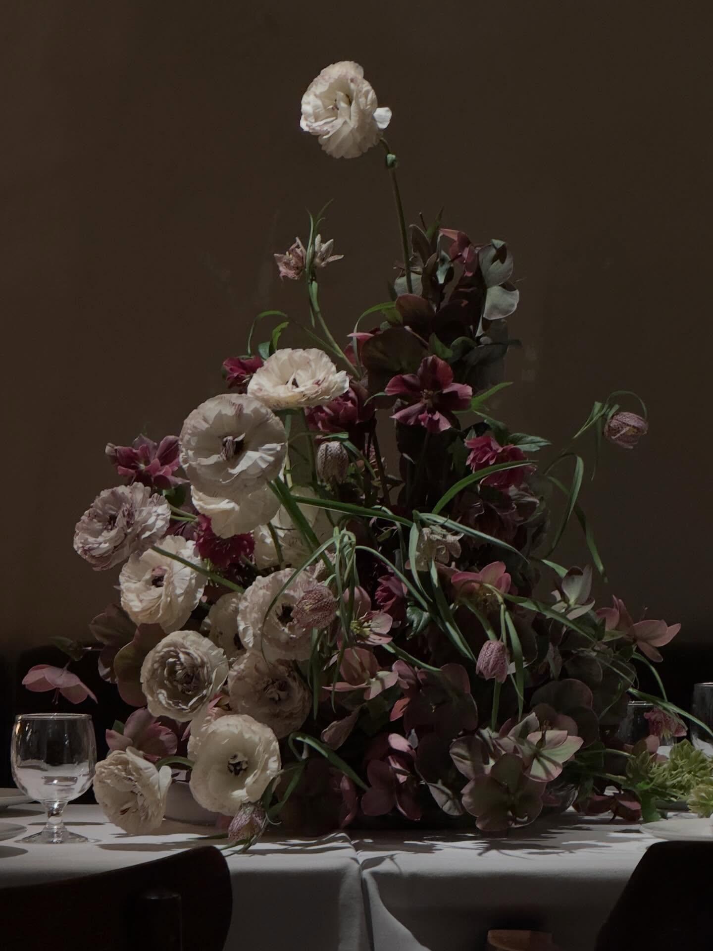 Fine Stems portfolio 5