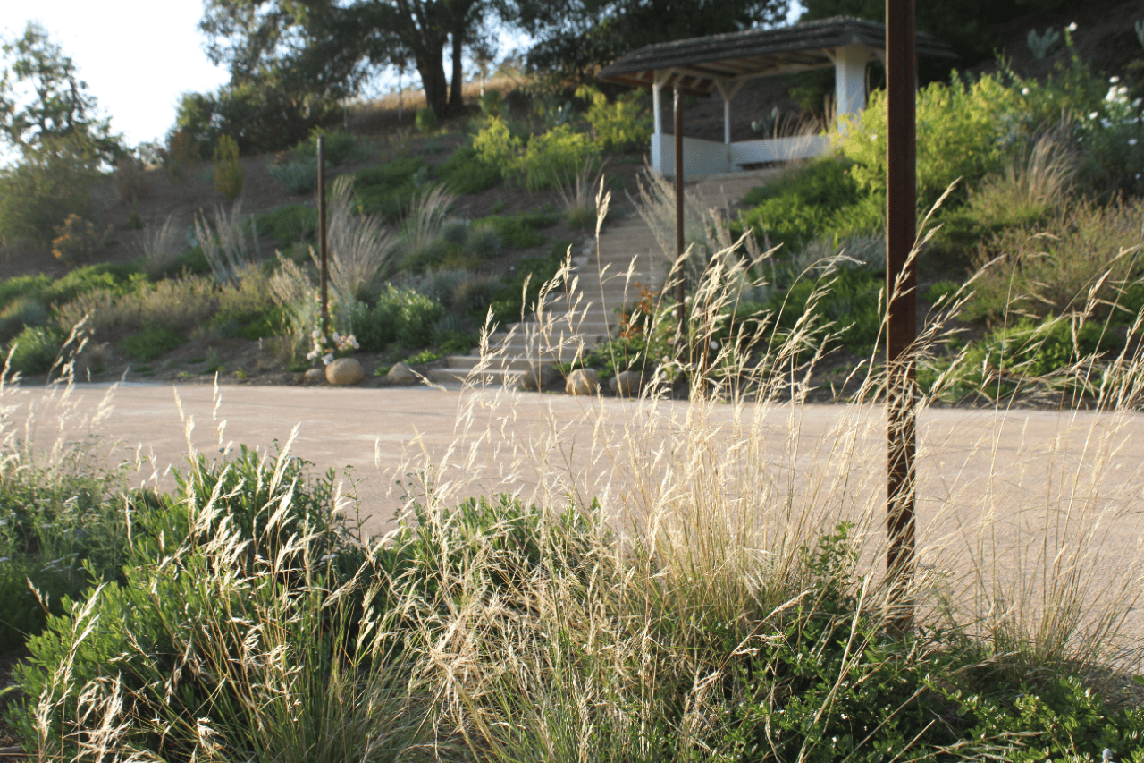 Maricopa Gardens portfolio 3