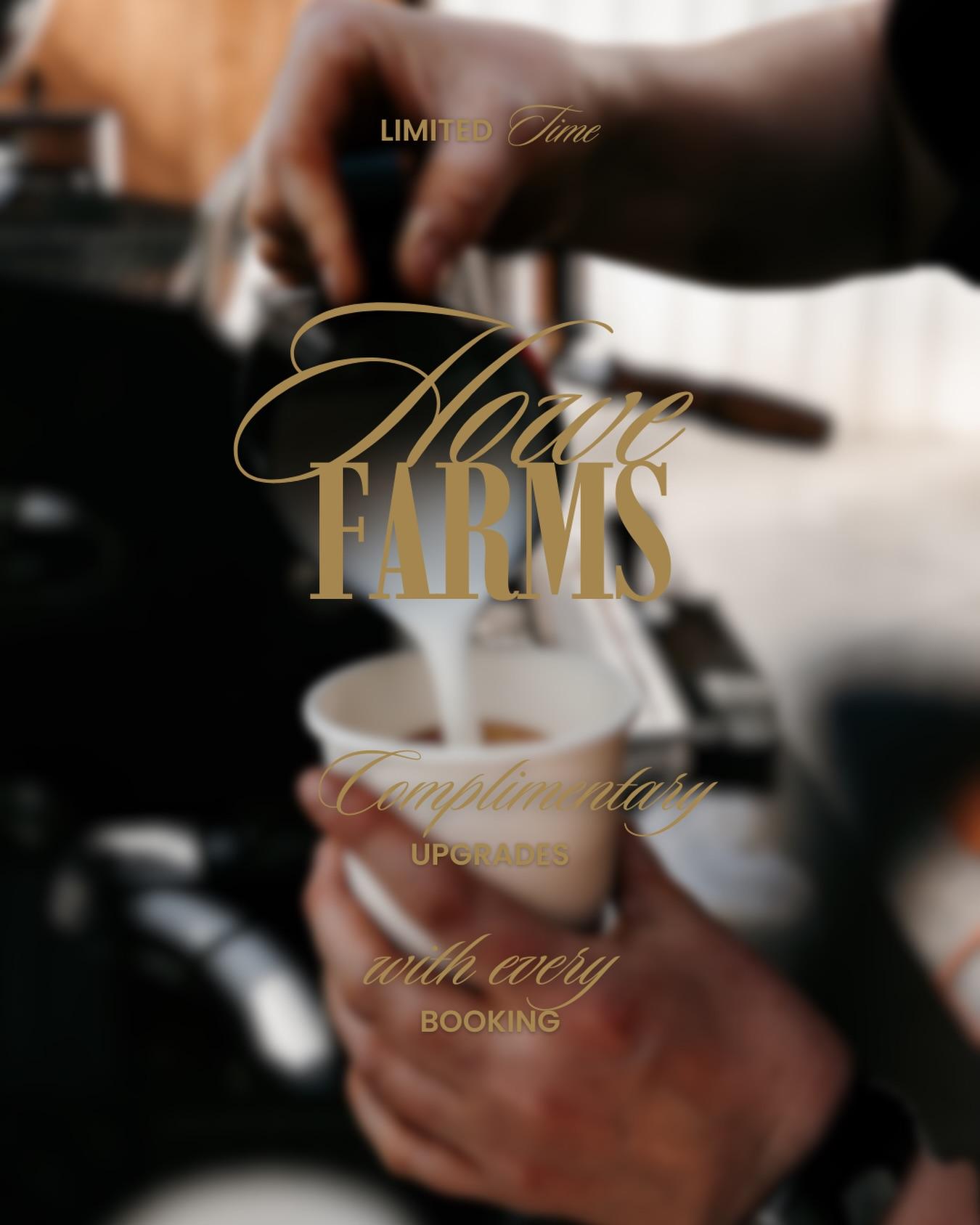 Tailwind Coffee portfolio 3