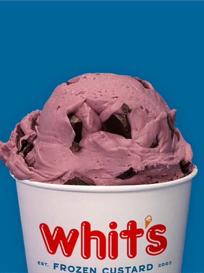 Whit's Frozen Custard portfolio 4